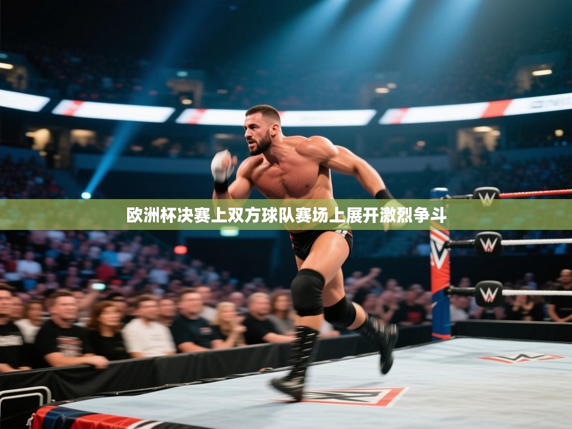 欧洲杯决赛上双方球队赛场上展开激烈争斗