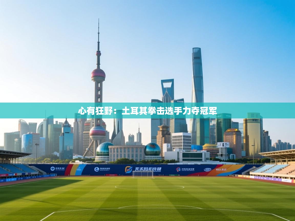 心有狂野:土耳其拳击选手力夺冠军 第2张