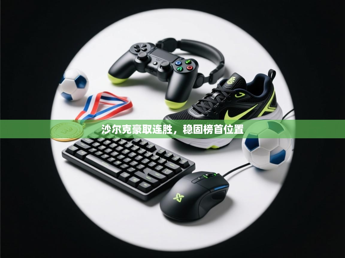 沙尔克豪取连胜，稳固榜首位置  第2张